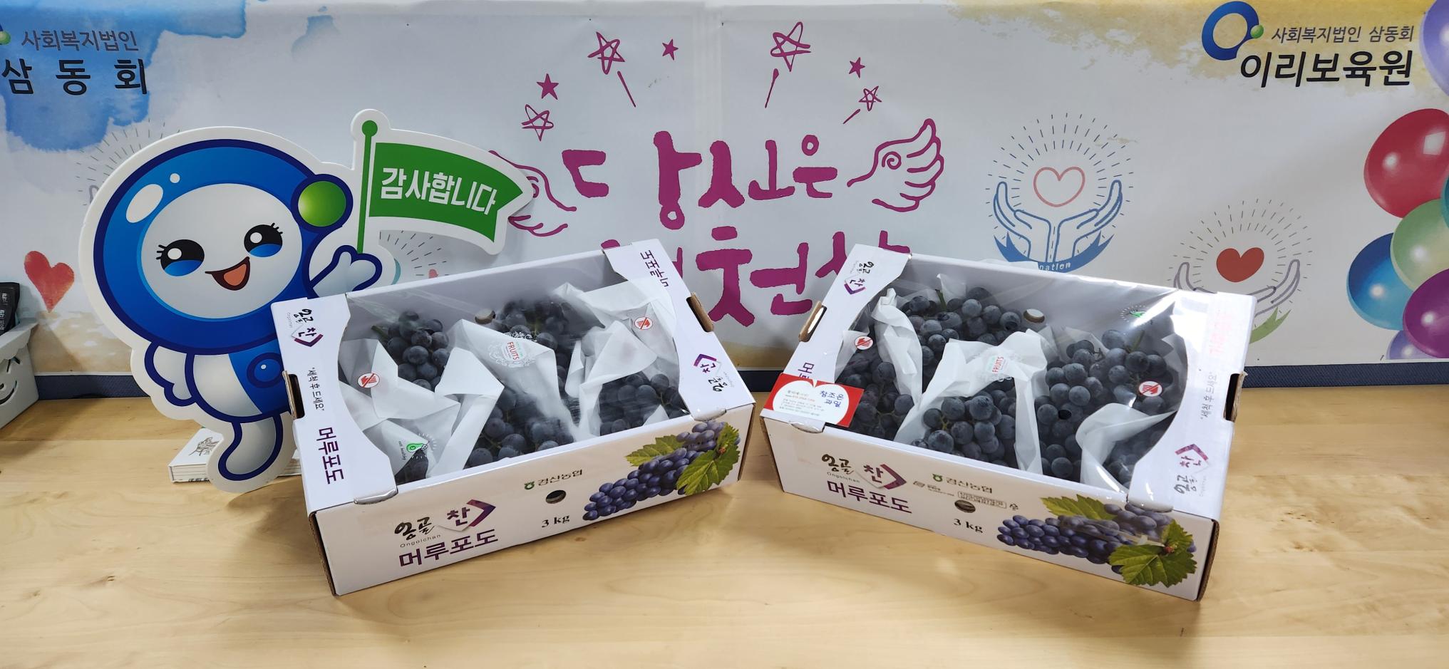 KakaoTalk_20251016_131845899.jpg